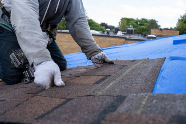 Roof Gutter Cleaning in Flower Hill, NY